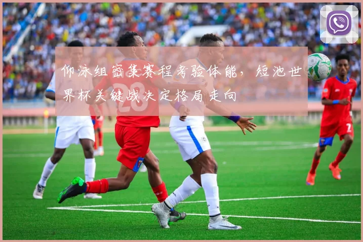 仰泳组密集赛程考验体能，短池世界杯关键战决定格局走向