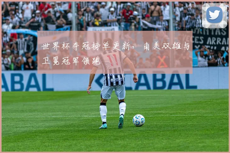 世界杯夺冠榜单更新，南美双雄与卫冕冠军领跑